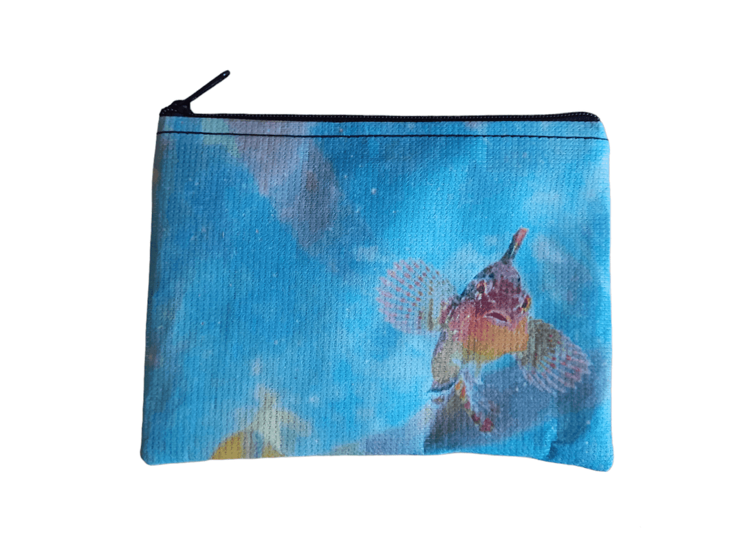 Small Zipper Bag [sublimation print on recycled fabric made from plastic bottles] – ROCK STAR ROCKY
