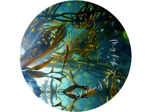 Coaster - My Kelp Forest Prayer Room
