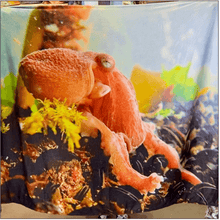 Load image into Gallery viewer, Flannel Fleece Blanket - Dopey Octopus
