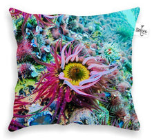 Load image into Gallery viewer, 60 x 60 Cushion - PASSION FRUIT BLOOM
