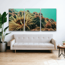 Load image into Gallery viewer, CREST COLLECTION: 3 large panel art canvas wall print - Blooming Gold
