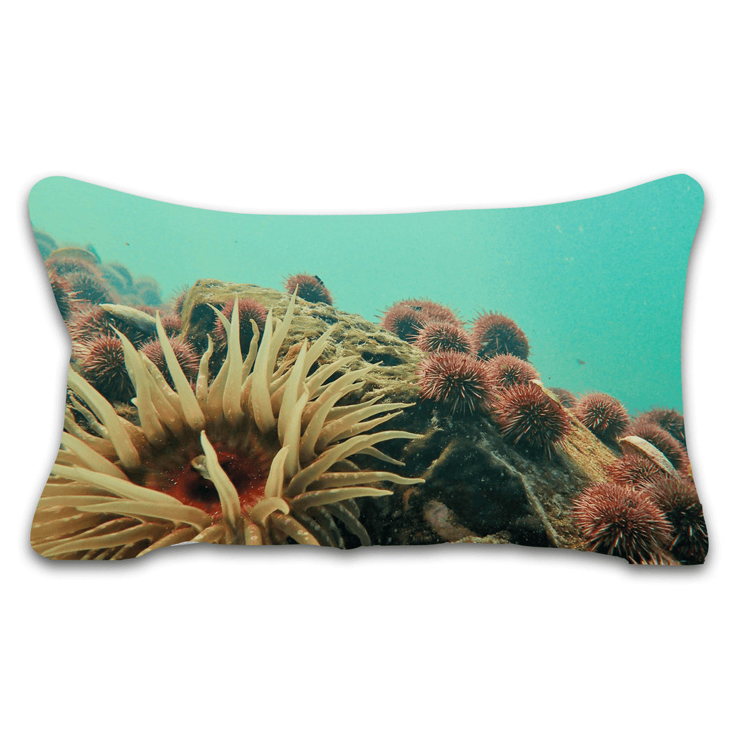 100 x 50 Cushion - Blooming Gold