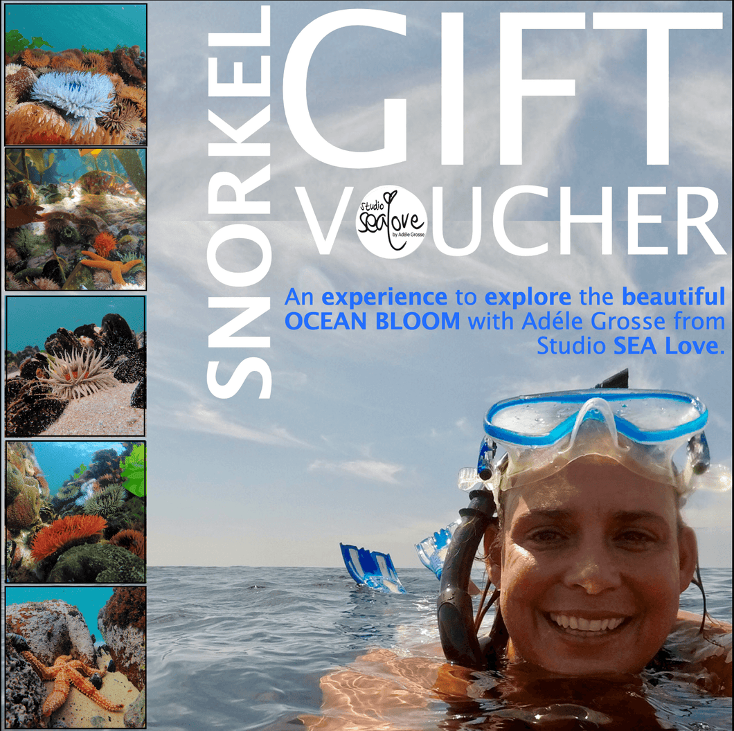 Snorkel Experience Gift Card